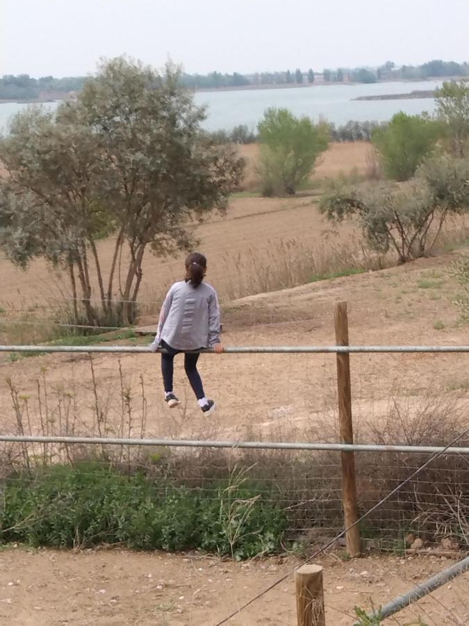 El Niu De L'estany *